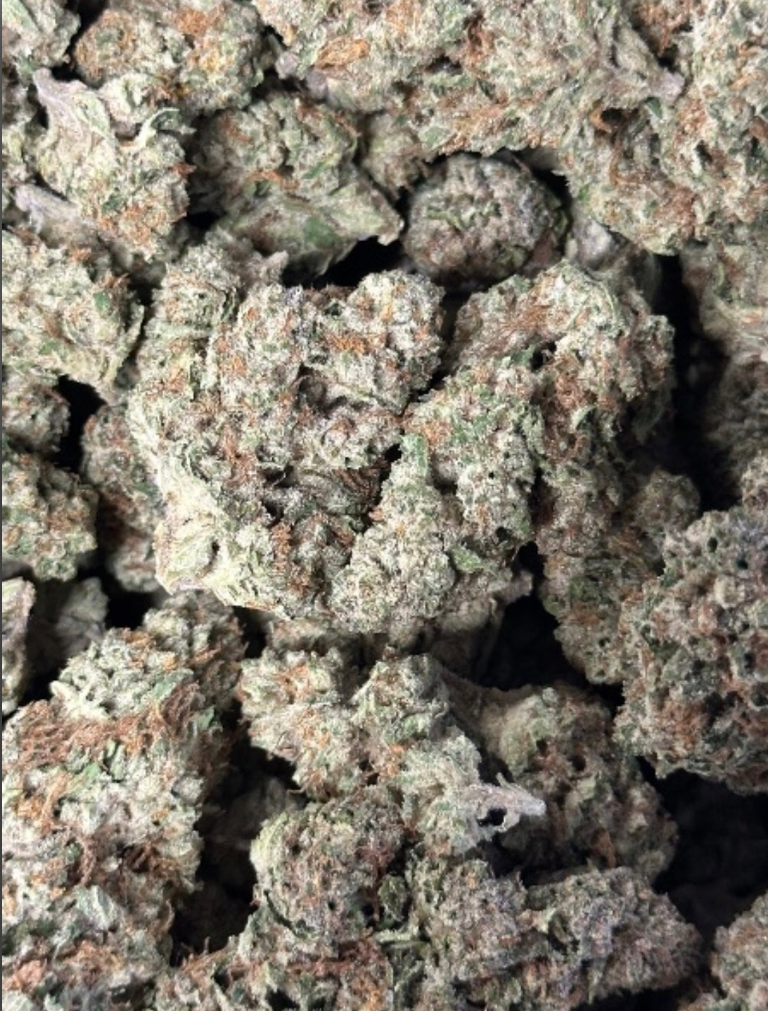Indoor: Blueberry Pancake (IN:BP)