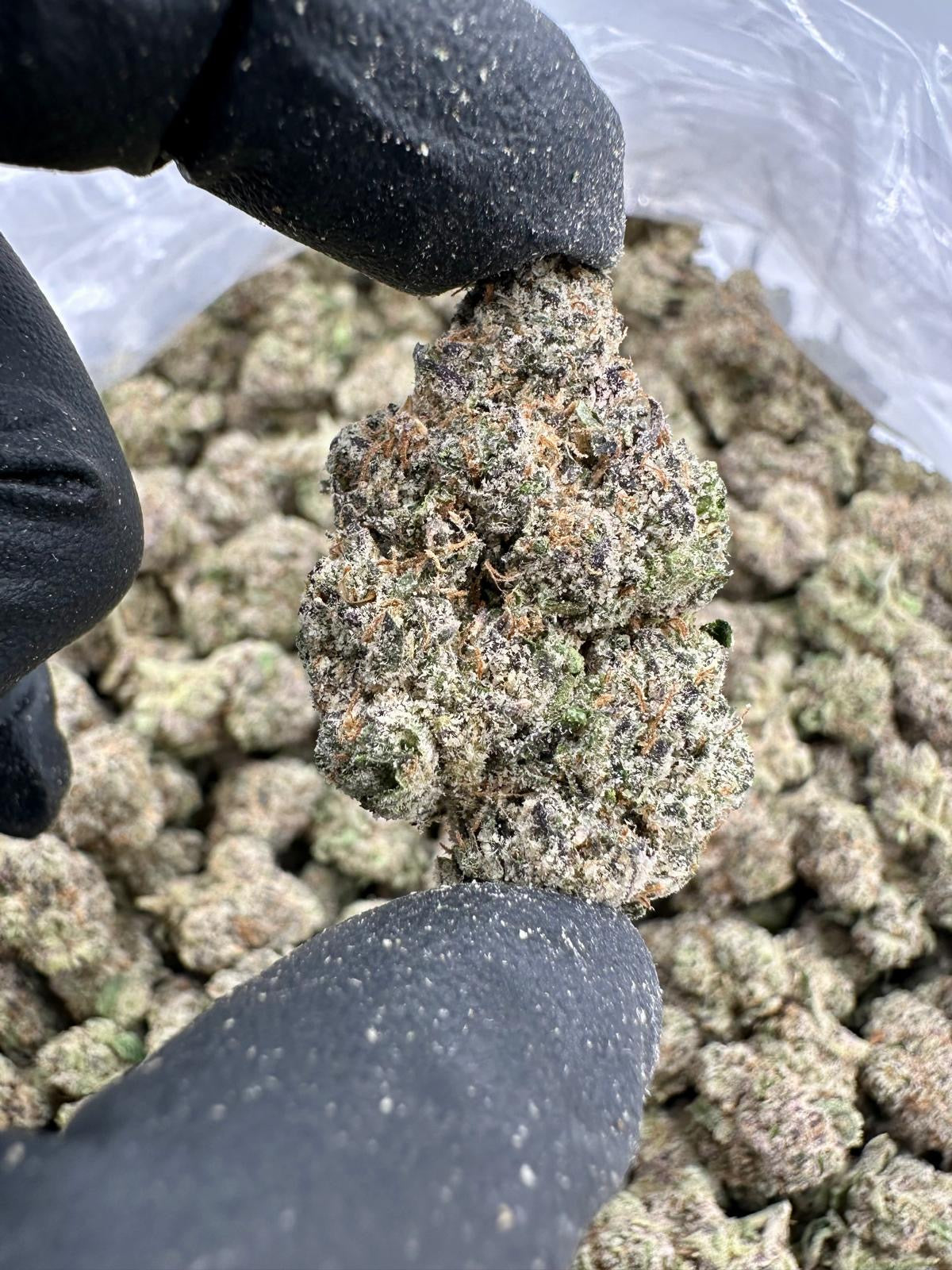 Platinum Cherry (Exotic AAA)