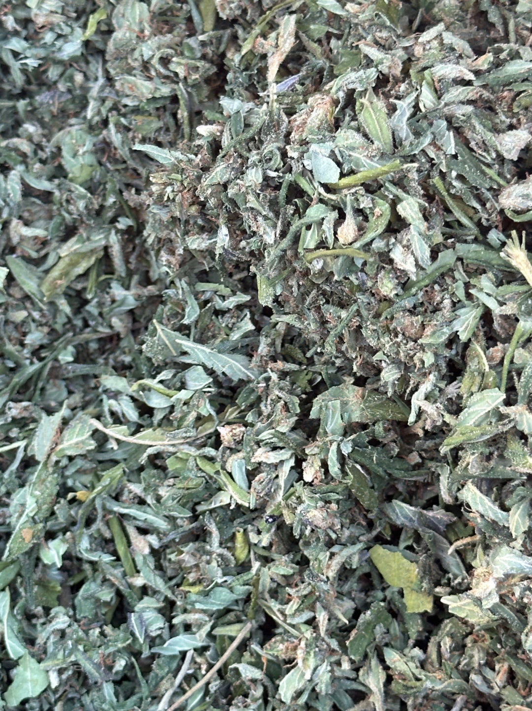 CBD: Shake