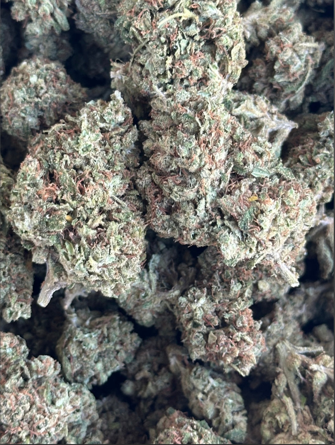 CBD: CAEB (CBD:CAEB)