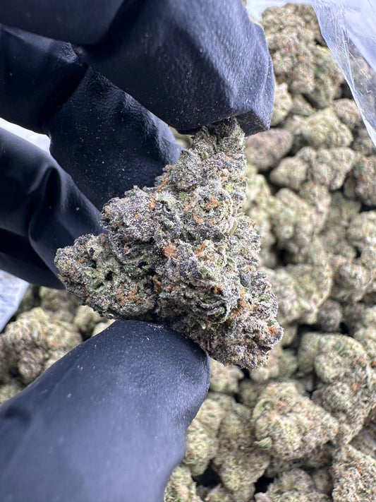 EXOTIC (LCG)