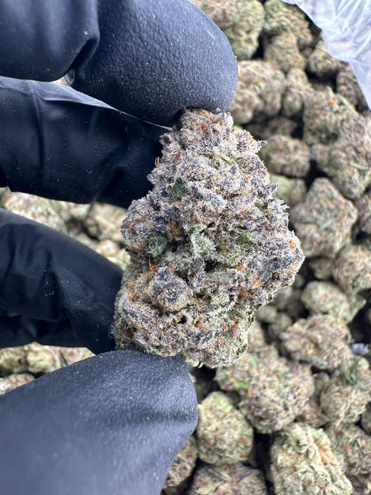 Exotic (Very Berry Haze)
