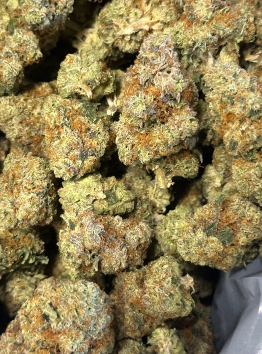 Exotics: Peanut Butter Apricot (EX:PBA)