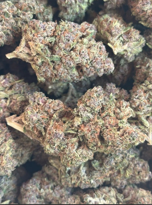 Indoor: Jungle Juice (103)