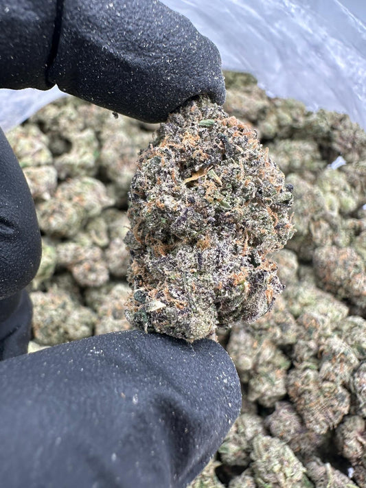 Blue Razz (Exotic AAA)