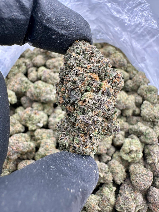 Strawberry Slushy (Exotic AAA)