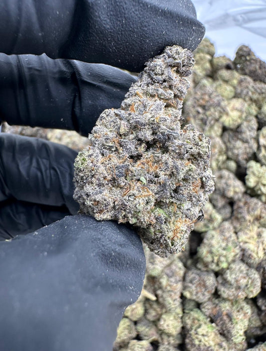 Exotic (Cherry Punch)