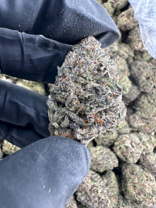 Exotic (Skittlez)