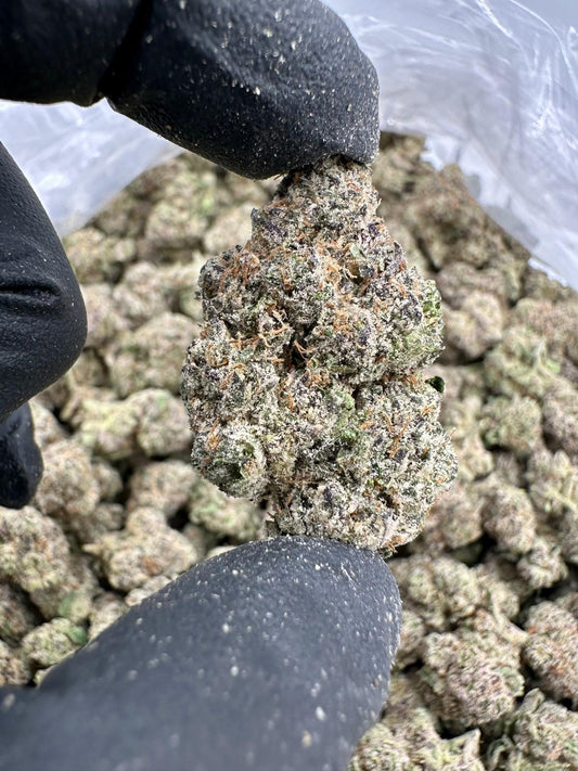 Platinum Cherry (Exotic AAA)