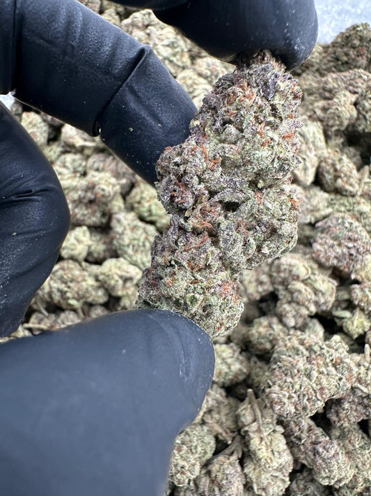 Gelato (High DEPP Indoor)