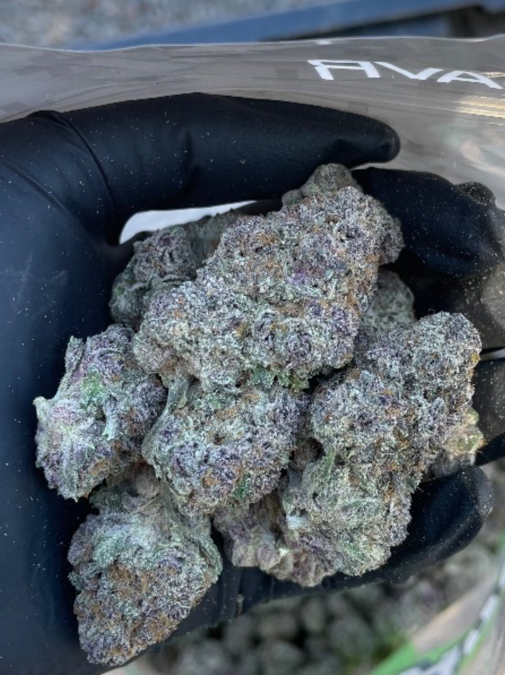 Exotics: Peanut Butter Apricot (EX:PBA)