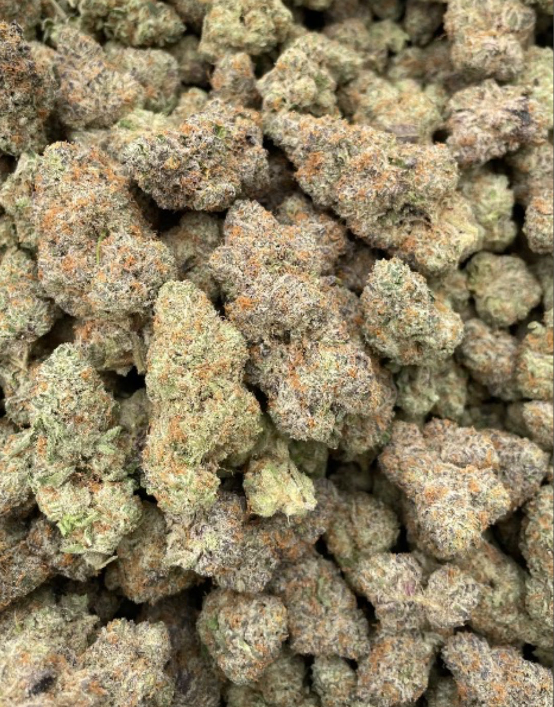 Exotic: Grandi Candi (E:GC)
