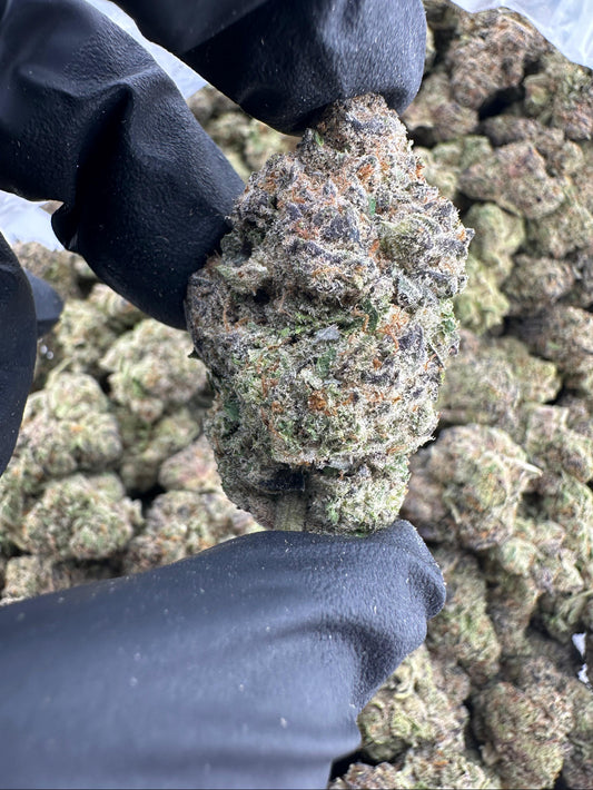 Exotic AAA: Purple Moon Rocks