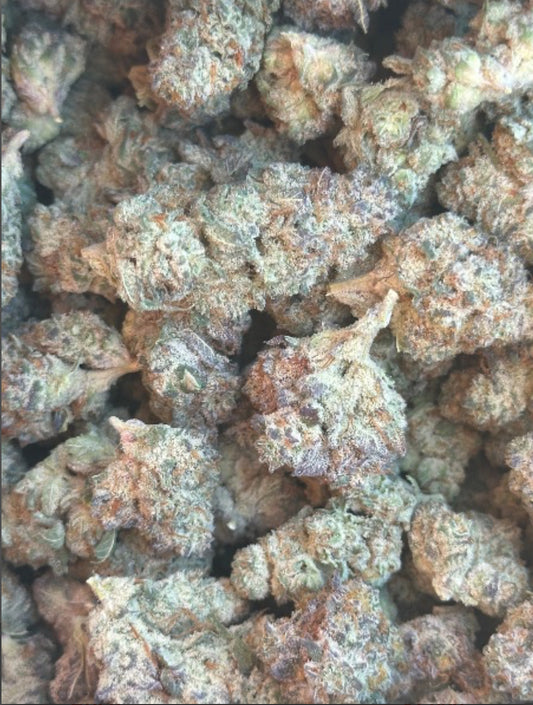 Exotic: Willie Nelson (EX:WN)
