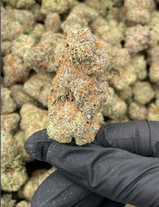 Exotic: Grandi Candi (E:GC)