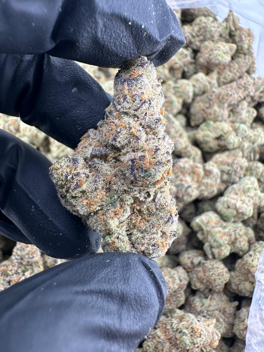 Exotic ( Tangerine Sunrise)