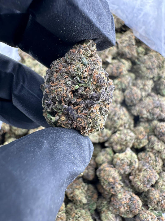 Exotic ( Truffle Butter)
