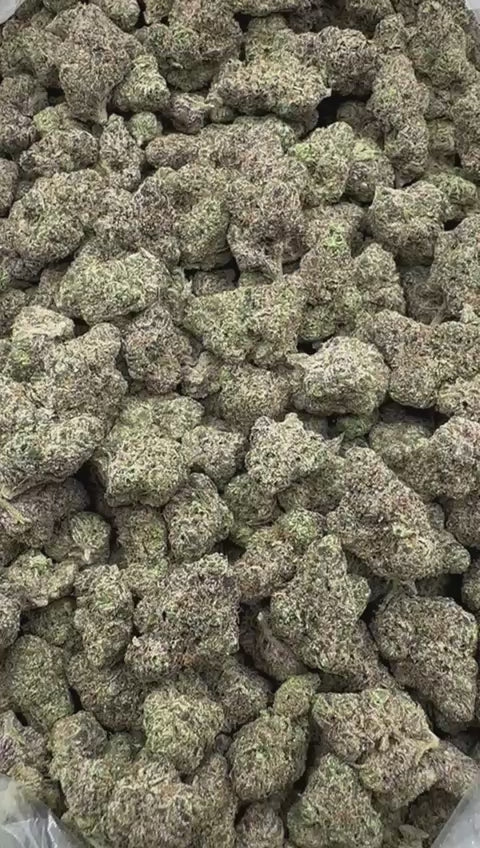 Exotic AAA: Blue Cookie