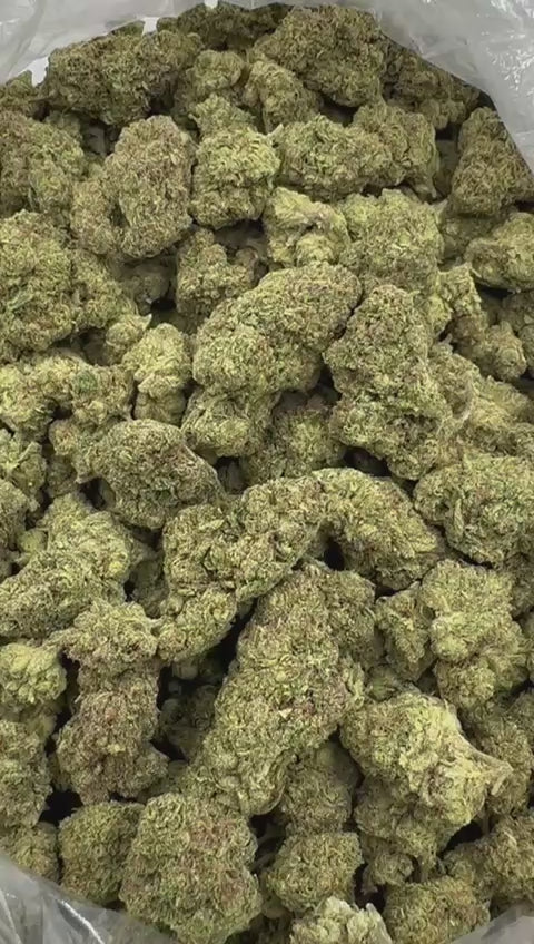Orange Runtz (High DEPP Indoor)
